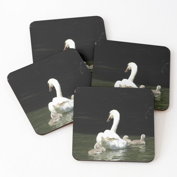 Item preview, Mother swan and cygnets designed and sold by joshuarainbird.