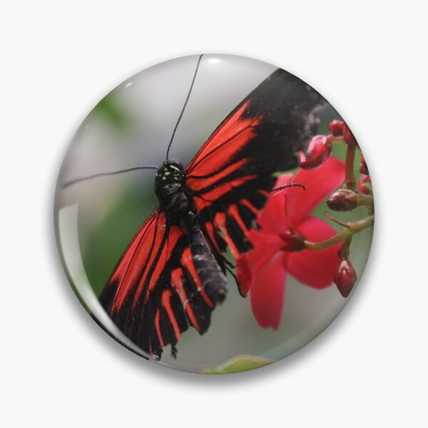 Item preview, Flower Song designed and sold by Shilohlin Pfeiffer.