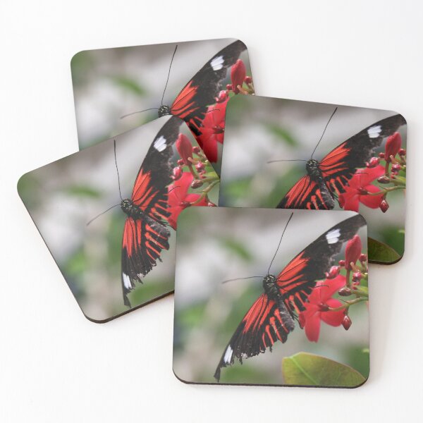 Item preview, Flower Song designed and sold by Shilohlin Pfeiffer.