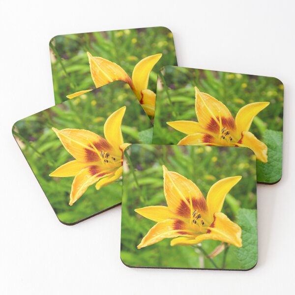 Item preview, daylilly flower flowering in summer  designed and sold by markspics.