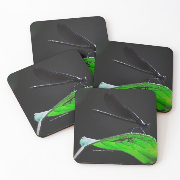 Item preview, Dragonfly of the enchanted forest By Yannis Lobaina  designed and sold by Yannis Lobaina Art .