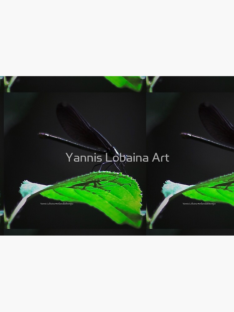 Dragonfly of the enchanted forest By Yannis Lobaina by lobaina1979