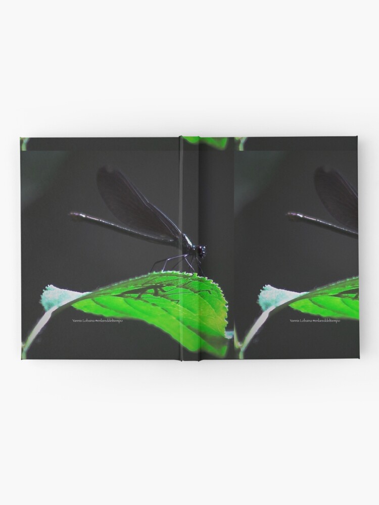 Alternate view of Dragonfly of the enchanted forest By Yannis Lobaina Hardcover Journal