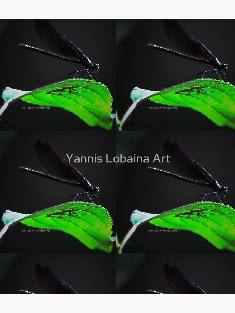 Dragonfly of the enchanted forest By Yannis Lobaina by lobaina1979
