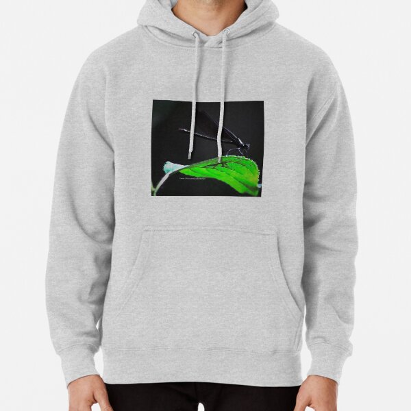 Dragonfly of the enchanted forest By Yannis Lobaina Pullover Hoodie