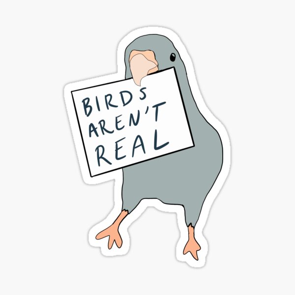 Birds arent real sticker Sticker