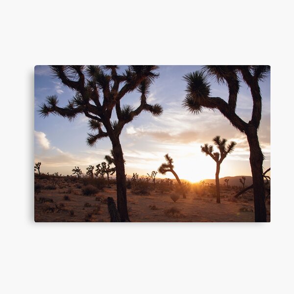 Item preview, Joshua Tree At Sunset designed and sold by Elena Ray.