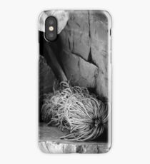 Cast Adrift iPhone Case