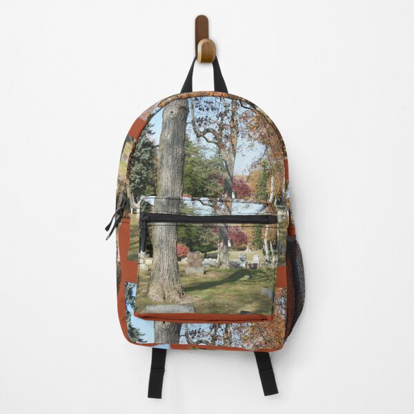 Item preview, Cemetery in the Fall, Nature Photography by Courtney Hatcher designed and sold by cghatcherart.