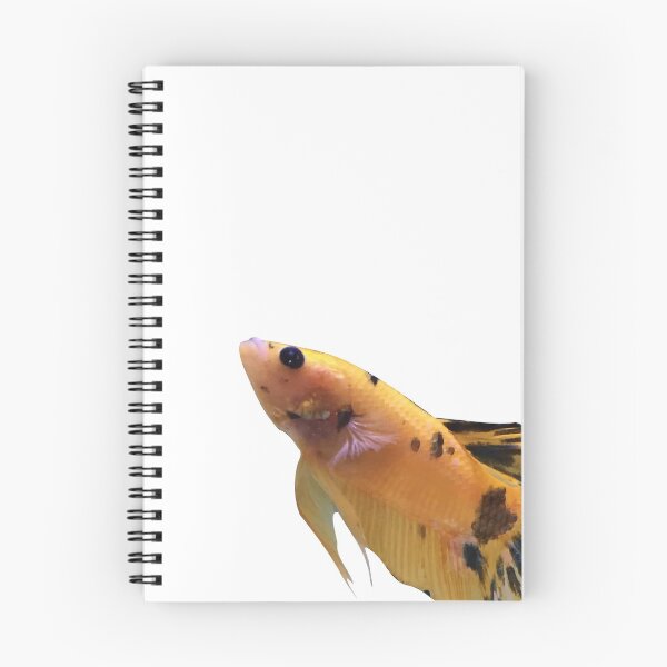 Item preview, Yellow and Black Plakat Betta  designed and sold by GoldfishClub.