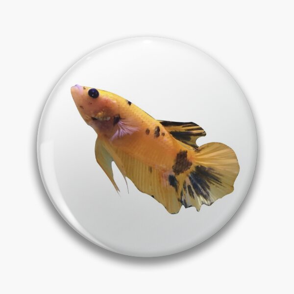 Item preview, Yellow and Black Plakat Betta  designed and sold by GoldfishClub.