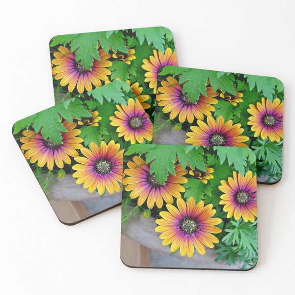 Item preview, Glen Haven 2020 Study 12  designed and sold by Robert Meyers-Lussier.