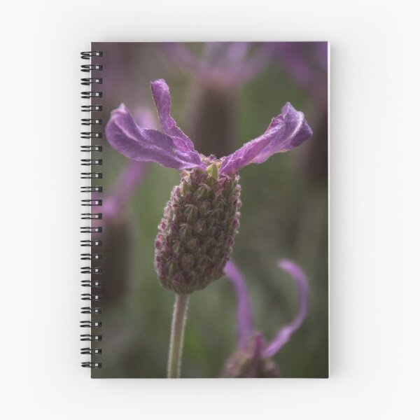 Item preview, Small lavender Leith Park Victoria 20151030 0530 designed and sold by Fred Mitchell.