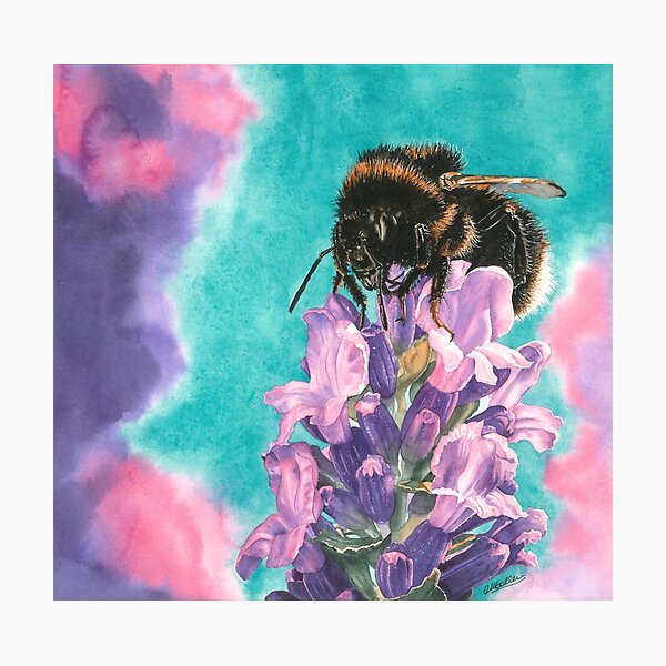 Lavender Bee Dilly Dilly Photographic Print