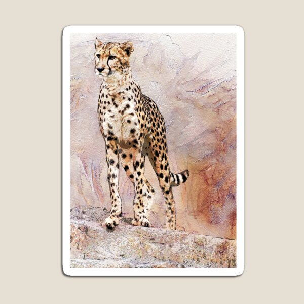 CHEETAH Magnet