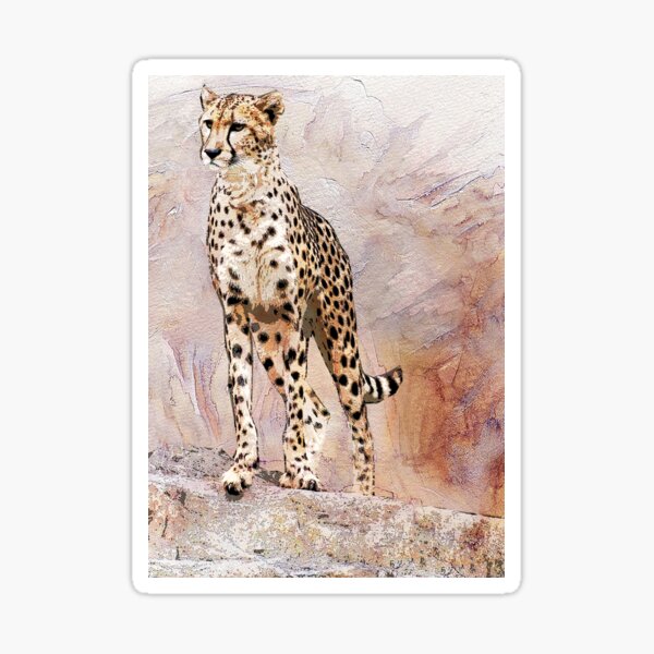 CHEETAH Sticker