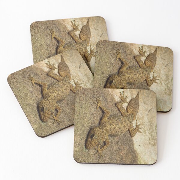 Item preview, Out of the Stonework (Phyllurus platurus) designed and sold by AlienMind.