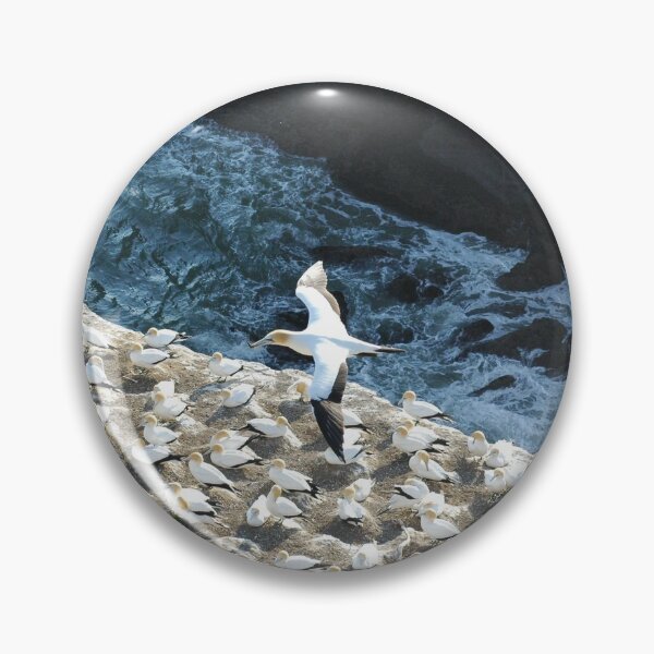 Item preview, Land, Sea and Air (Muriwai Gannet Colony) designed and sold by AlienMind.