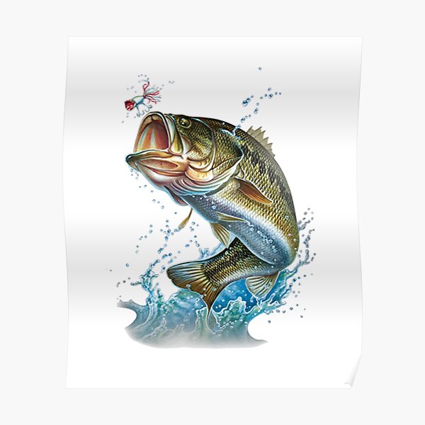 green bass jumping out of water fishing Poster