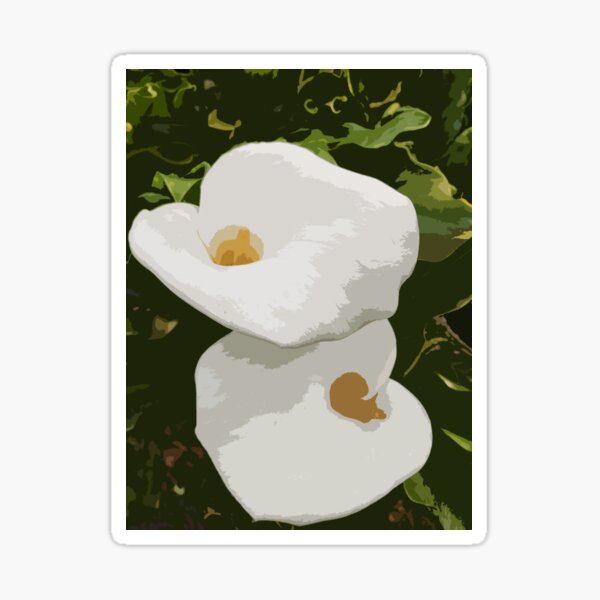 Double Arum Sticker