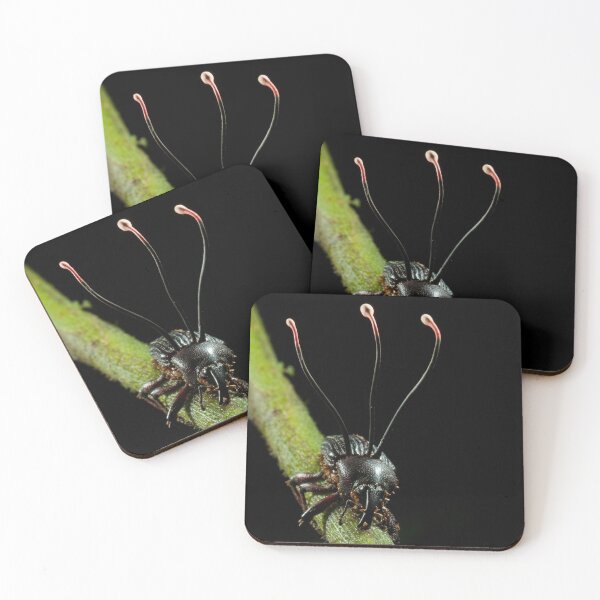 Item preview, Body Snatcher (Ophiocordyceps curculionum) designed and sold by AlienMind.