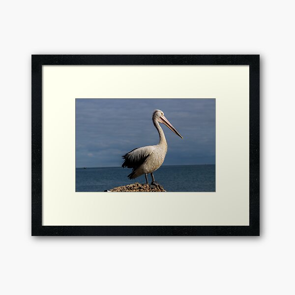 Item preview, Pelican designed and sold by Coen-87.