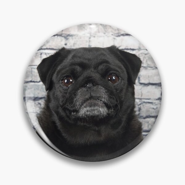 Item preview, Black Pug Head designed and sold by mlorenz.