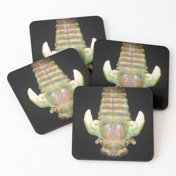 Item preview, Cherubic Cicada designed and sold by AlienMind.