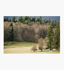 Longbranch Washington Photographic Print