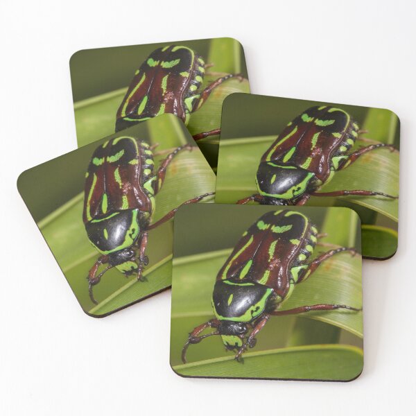 Item preview, Fiddler on the Grass (Eupoecila australasiae) designed and sold by AlienMind.