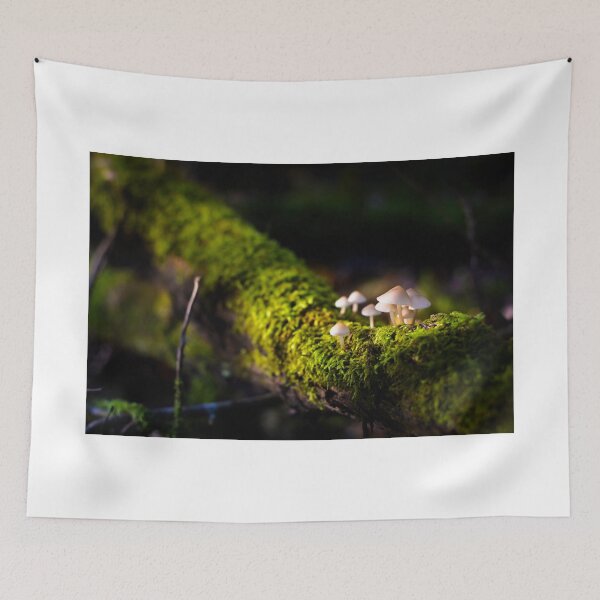 Item preview, Mushrooms designed and sold by Gaël FONTAINE.