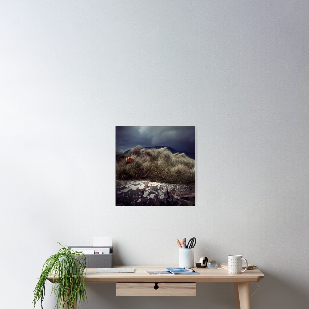 Item preview, Poster designed and sold by kalua.