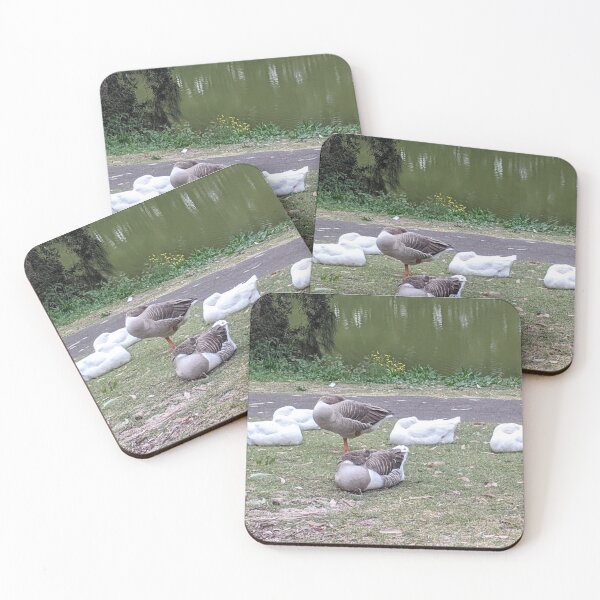 Item preview, Sleeping Geese  designed and sold by jentiger.