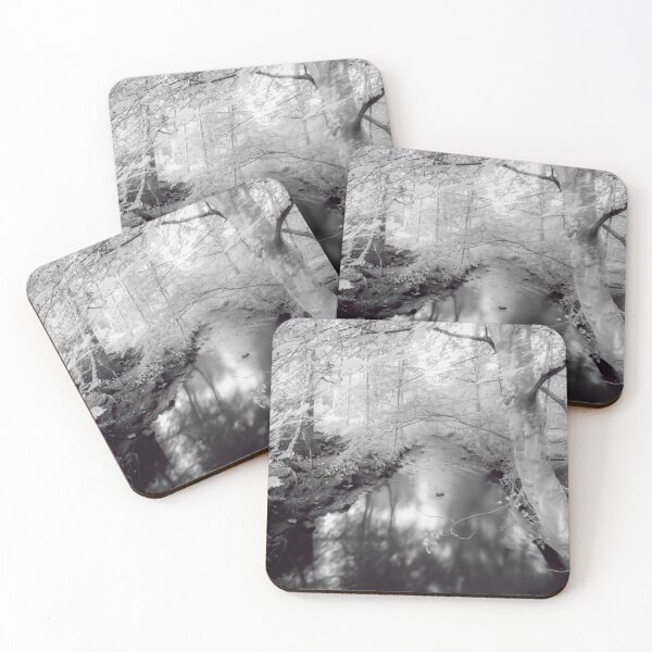 Item preview, Stream flowing through the woods at lumley castle designed and sold by EcDigitalPhoto.