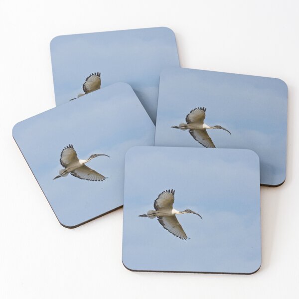 Item preview, Sacred Ibis in The Gambia designed and sold by Sue Robinson.