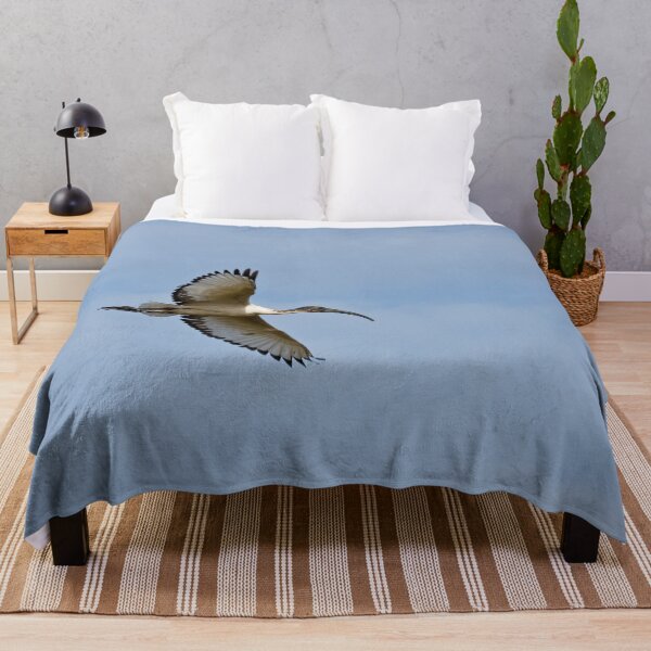 Item preview, Sacred Ibis in The Gambia designed and sold by Sue Robinson.