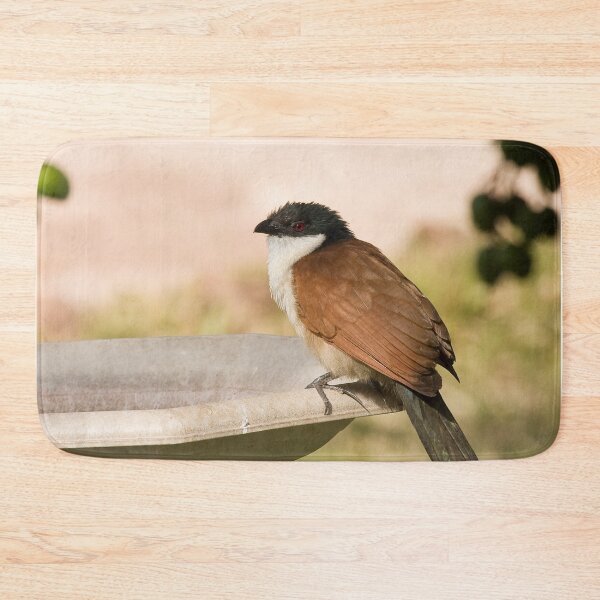 Item preview, Senegal Coucal designed and sold by Sue Robinson.