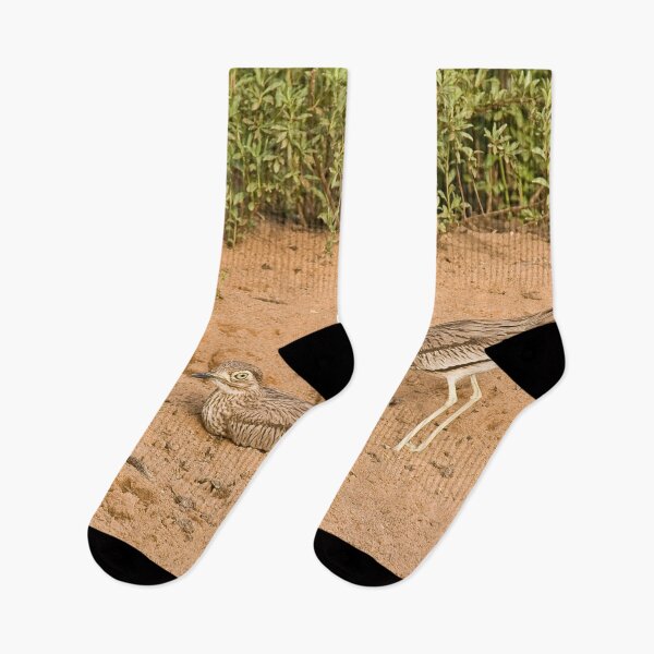 Item preview, Senegal Thick-knees in Senegal designed and sold by Sue Robinson.