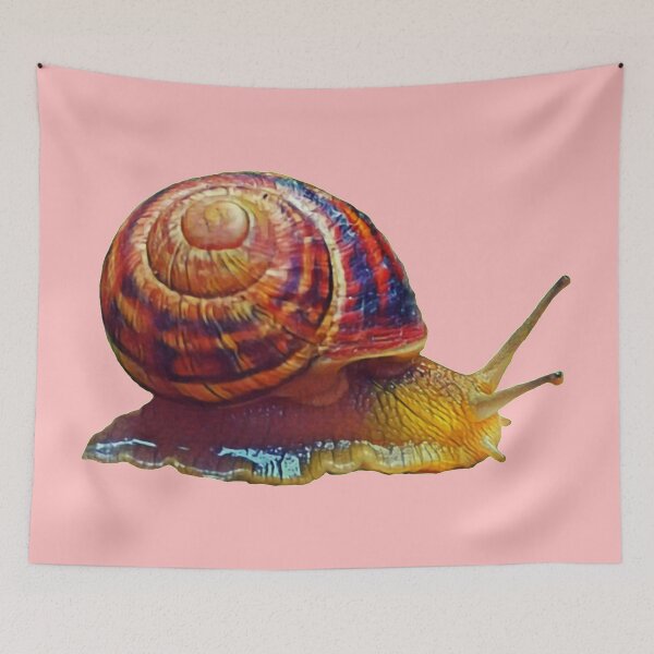 Item preview, Scrawling edible snail designed and sold by helenkaiy.