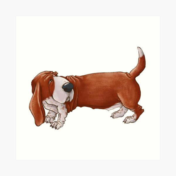 Cute long dog of breed Basset Hound. Art Print
