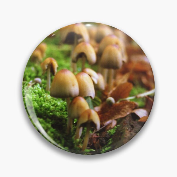 Item preview, Mushrooms on Tree Trunk  designed and sold by Debjaphotography.
