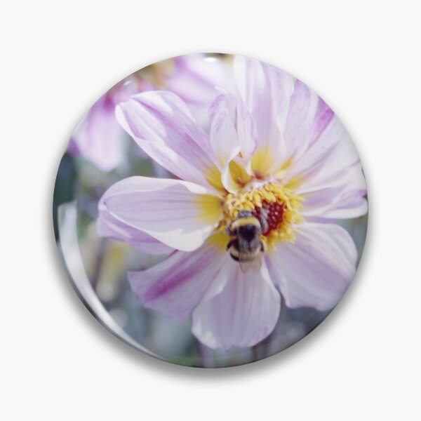 Item preview, Longing for Summer  designed and sold by Debjaphotography.