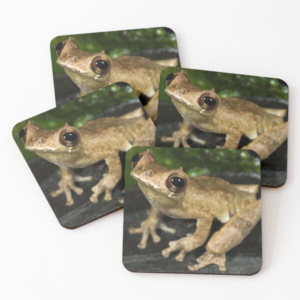 Item preview, Devilishly Cute (Dendropsophus kamagarini) designed and sold by AlienMind.