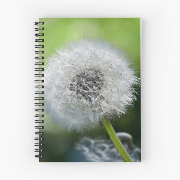 Item preview, Everything ready for the wind to come 1 designed and sold by Jouko Lehto Photography.