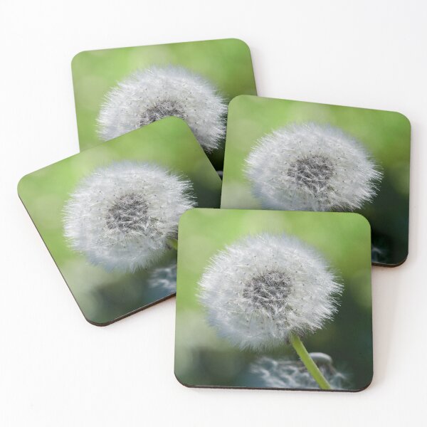 Item preview, Everything ready for the wind to come 1 designed and sold by Jouko Lehto Photography.
