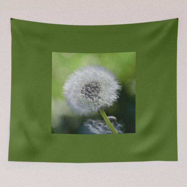 Item preview, Everything ready for the wind to come 1 designed and sold by Jouko Lehto Photography.