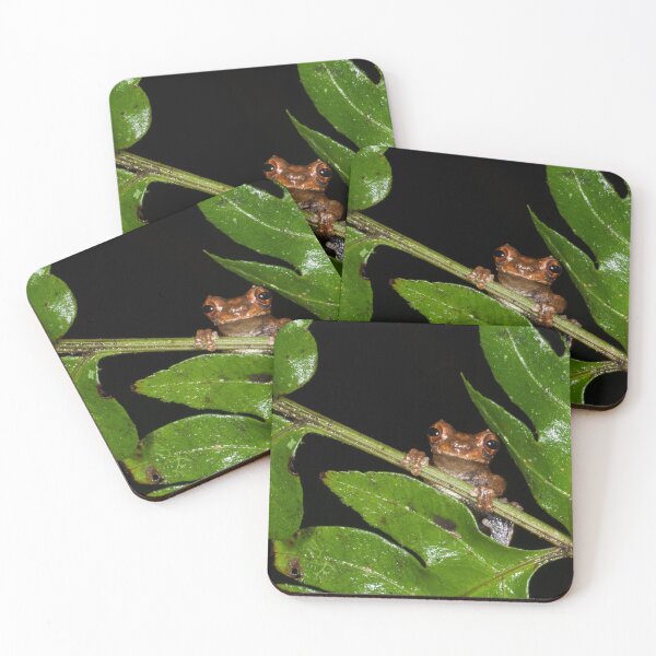 Item preview, Through the Ferns (Dendropsophus kamagarini) designed and sold by AlienMind.