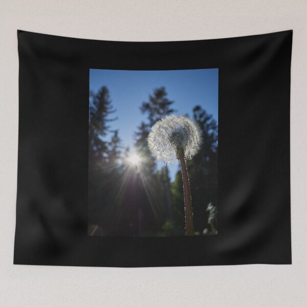 Item preview, Dandelion reaching the sky and the sun designed and sold by Jouko Lehto Photography.