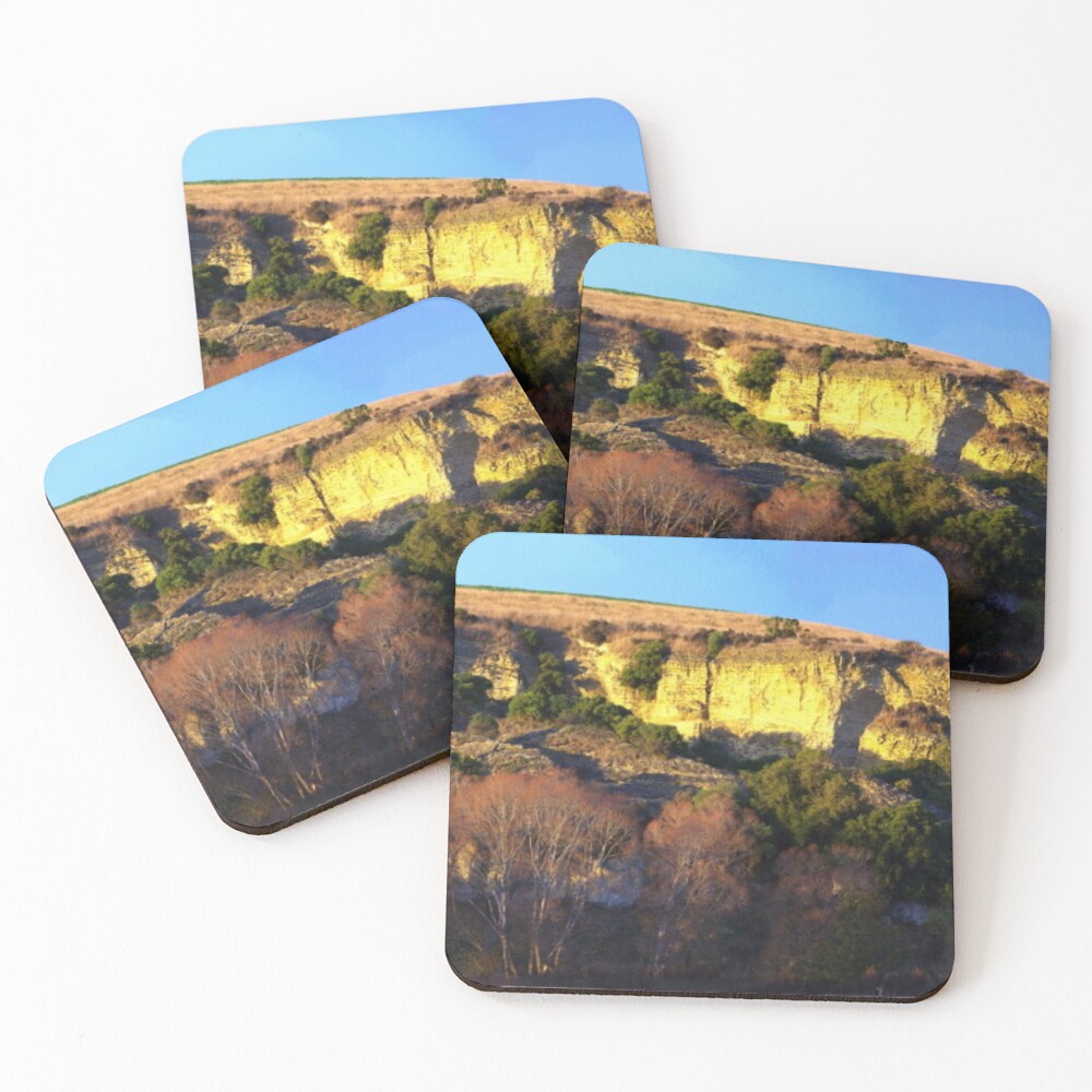 Item preview, Coasters (Set of 4) designed and sold by WildPenDesign.