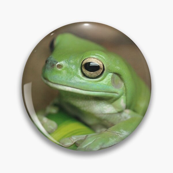 Item preview, Greeny (Litoria caerulea) designed and sold by AlienMind.